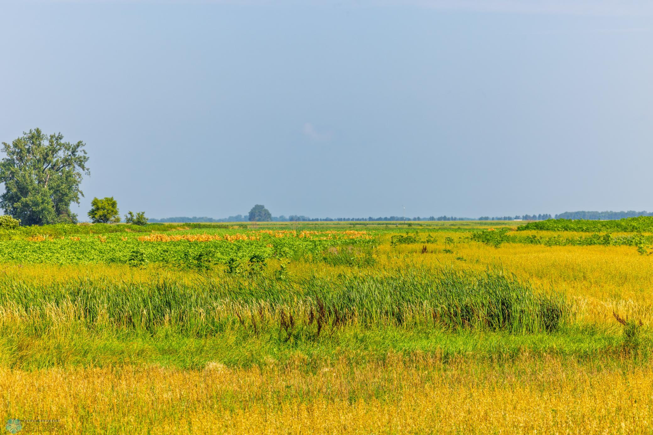 Amdak__Richland County - 318.52 Acreas_0026.jpg