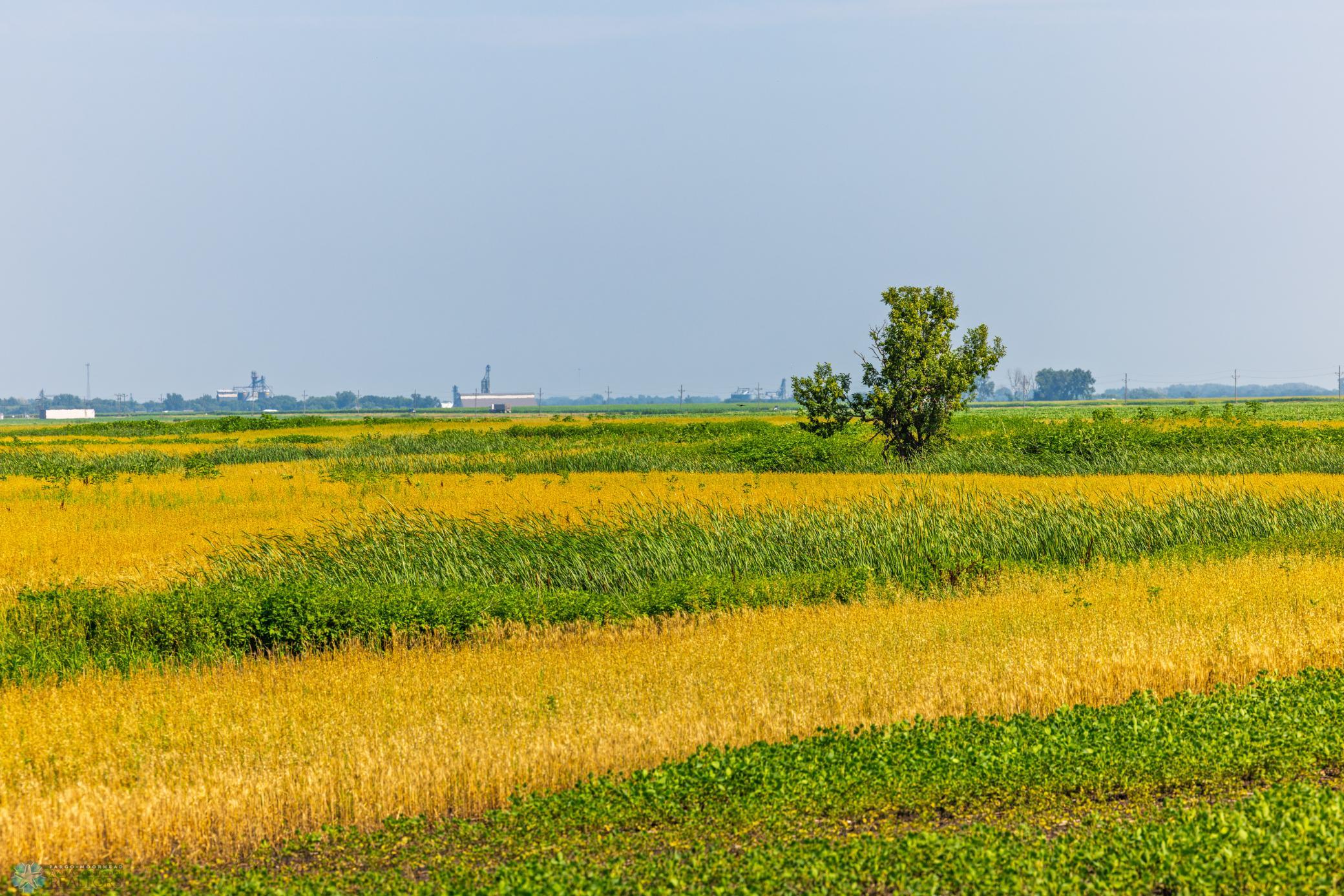 Amdak__Richland County - 318.52 Acreas_0028.jpg