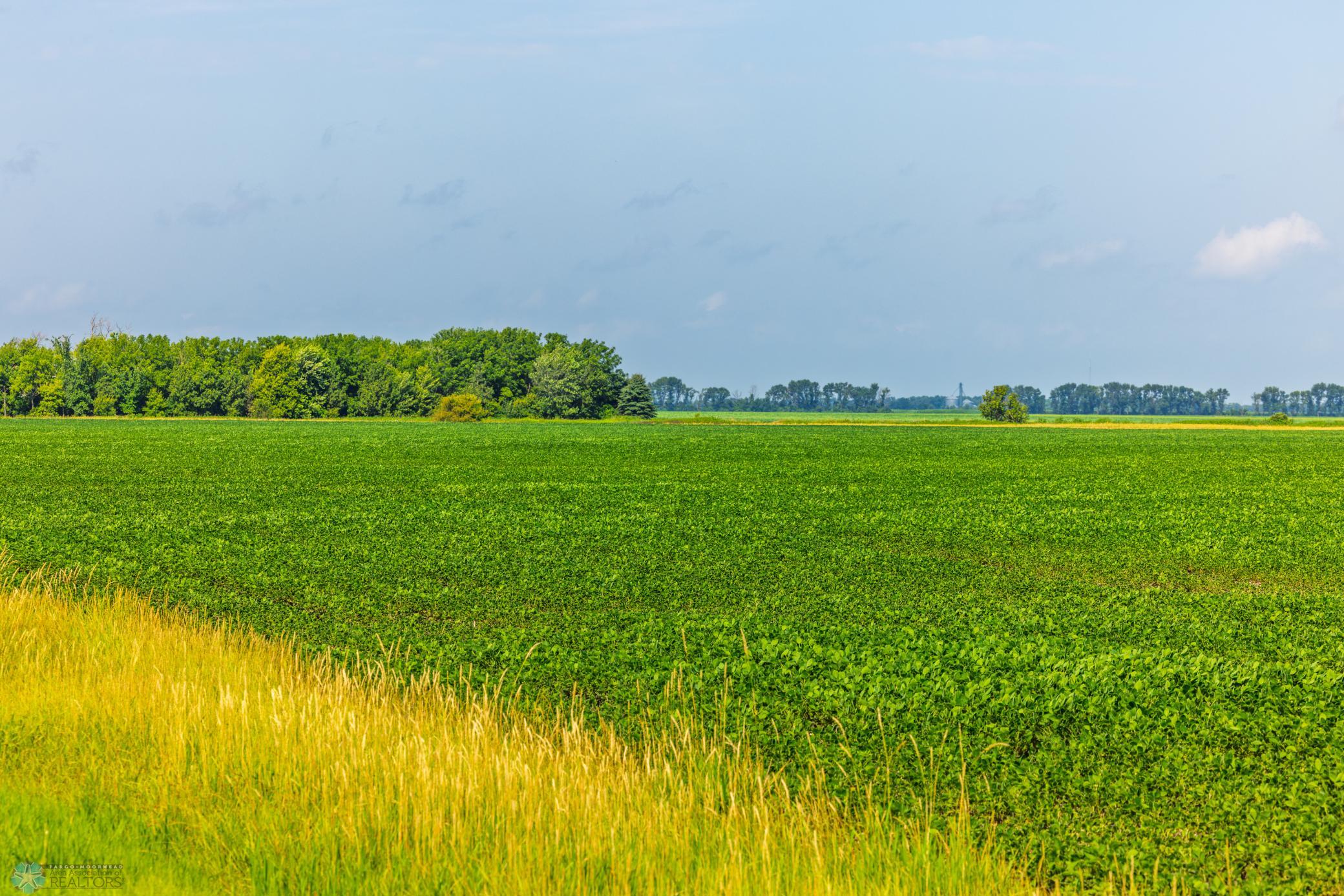 Amdak__Richland County - 318.52 Acreas_0005.jpg