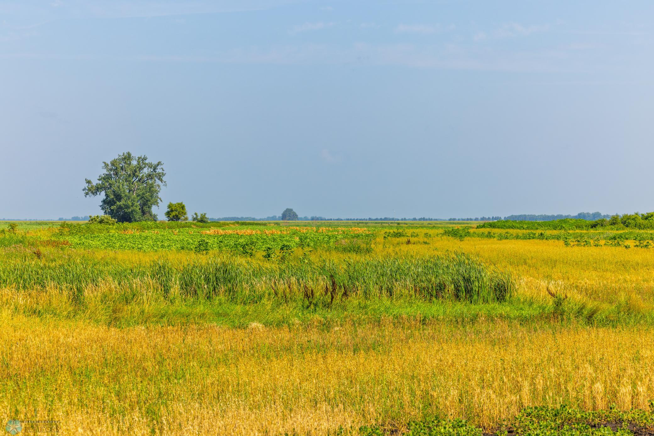 Amdak__Richland County - 318.52 Acreas_0027.jpg