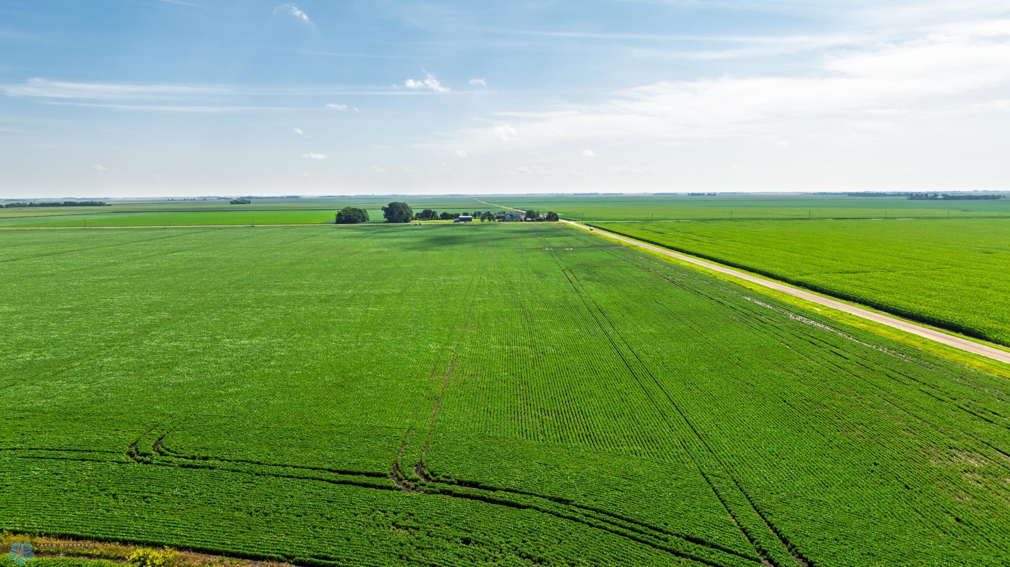 Amdak__Richland County - 318.52 Acreas_0021.jpg
