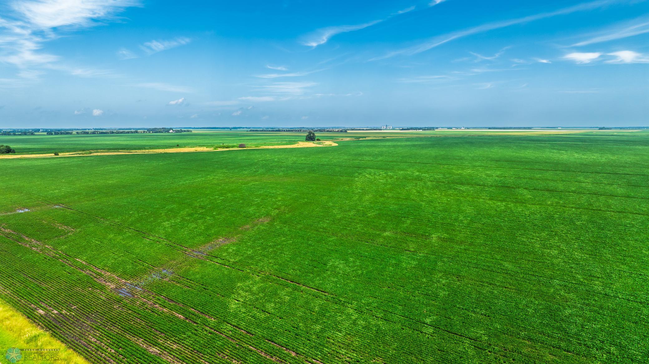 Amdak__Richland County - 318.52 Acreas_0009.jpg