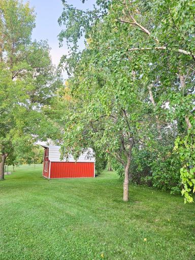 432 E 2nd Street, Argyle, MN 56713