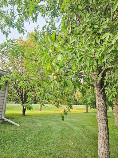 432 E 2nd Street, Argyle, MN 56713