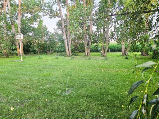 432 E 2nd Street, Argyle, MN 56713