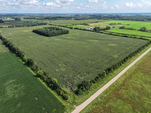 Excellent 75.21 acres of Crop Land looking southeast