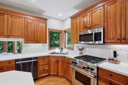 Stainless steel appliance and decorative backsplash