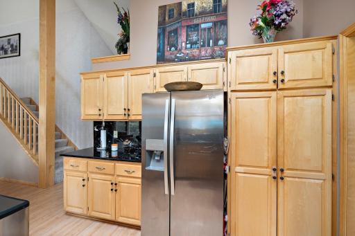 8998 Montegue Terrace, Minneapolis, MN 55443