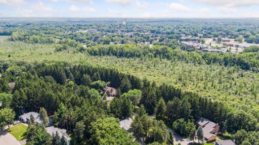 1349 Tamberwood Trail, Woodbury, MN 55125