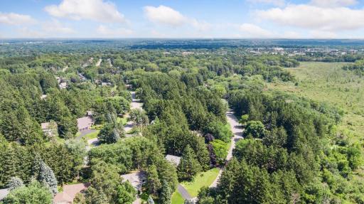 1349 Tamberwood Trail, Woodbury, MN 55125