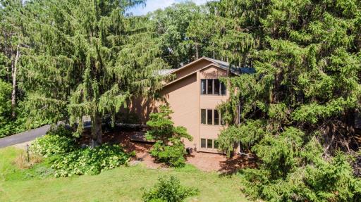 1349 Tamberwood Trail, Woodbury, MN 55125
