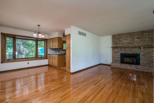 1614 Lesueur Avenue, Mankato, MN 56001