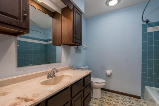 1614 Lesueur Avenue, Mankato, MN 56001