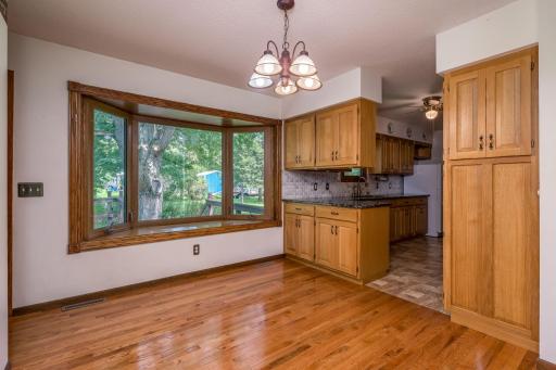 1614 Lesueur Avenue, Mankato, MN 56001