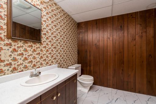1614 Lesueur Avenue, Mankato, MN 56001