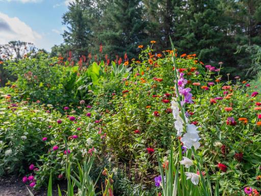 8835 County Road 43, Chaska, MN 55318