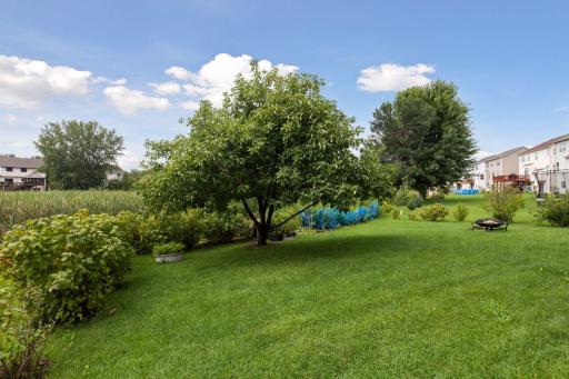 8989 Garland Lane N, Maple Grove, MN 55311