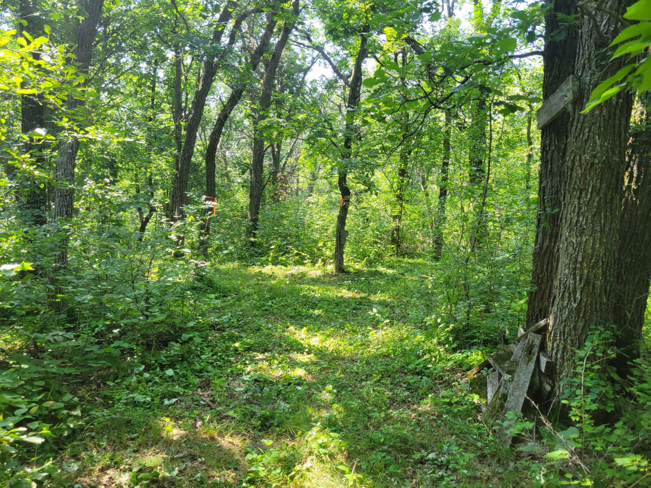 20250813_145814.jpg