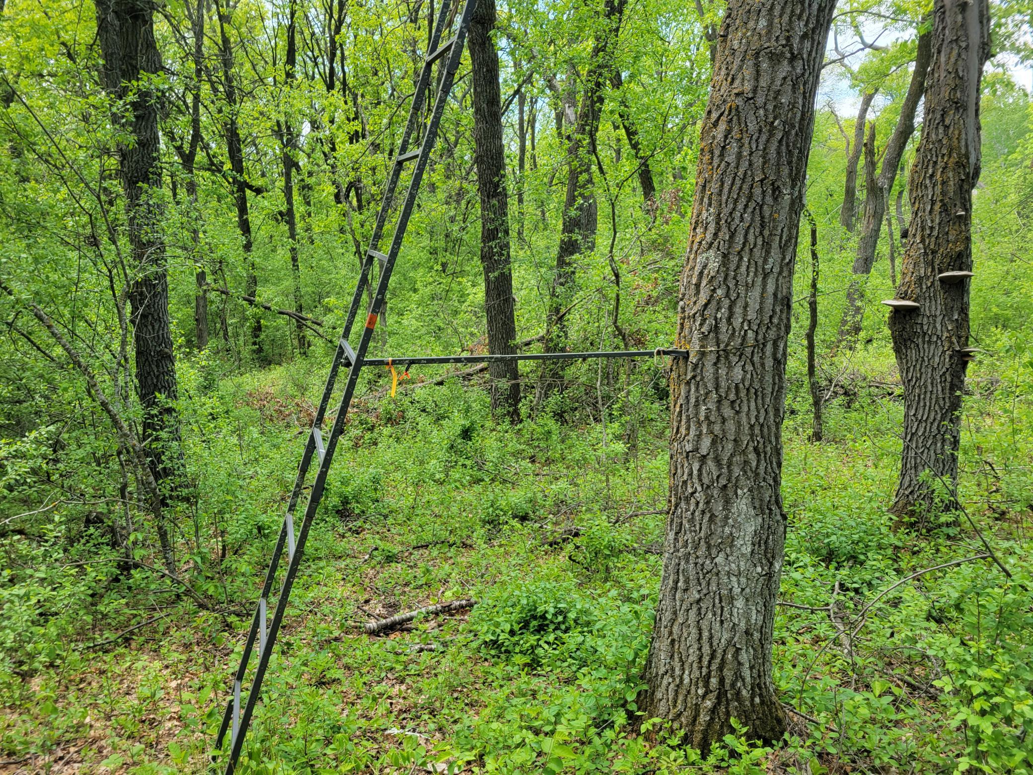 20250523_141158.jpg