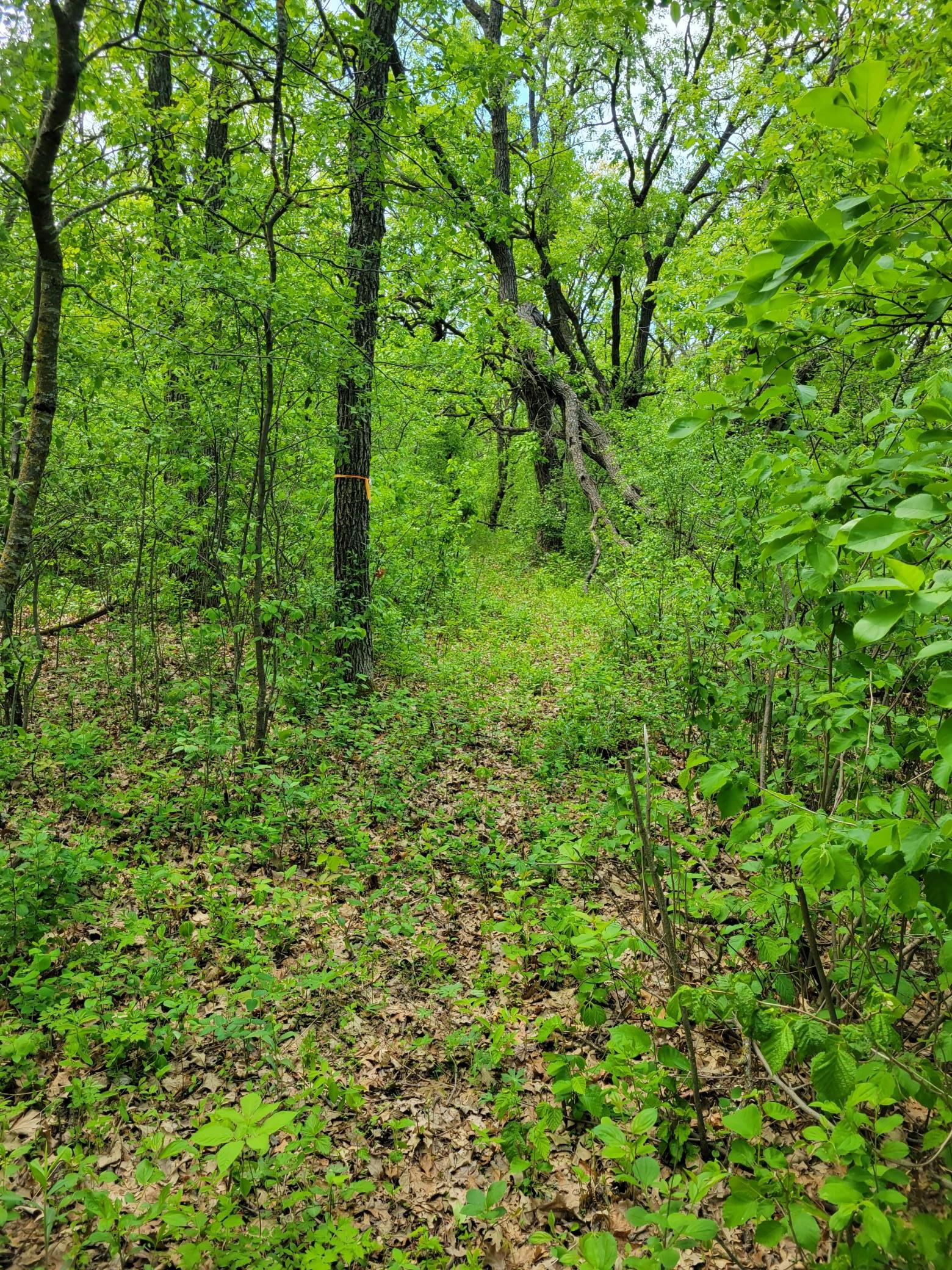20250523_140527.jpg