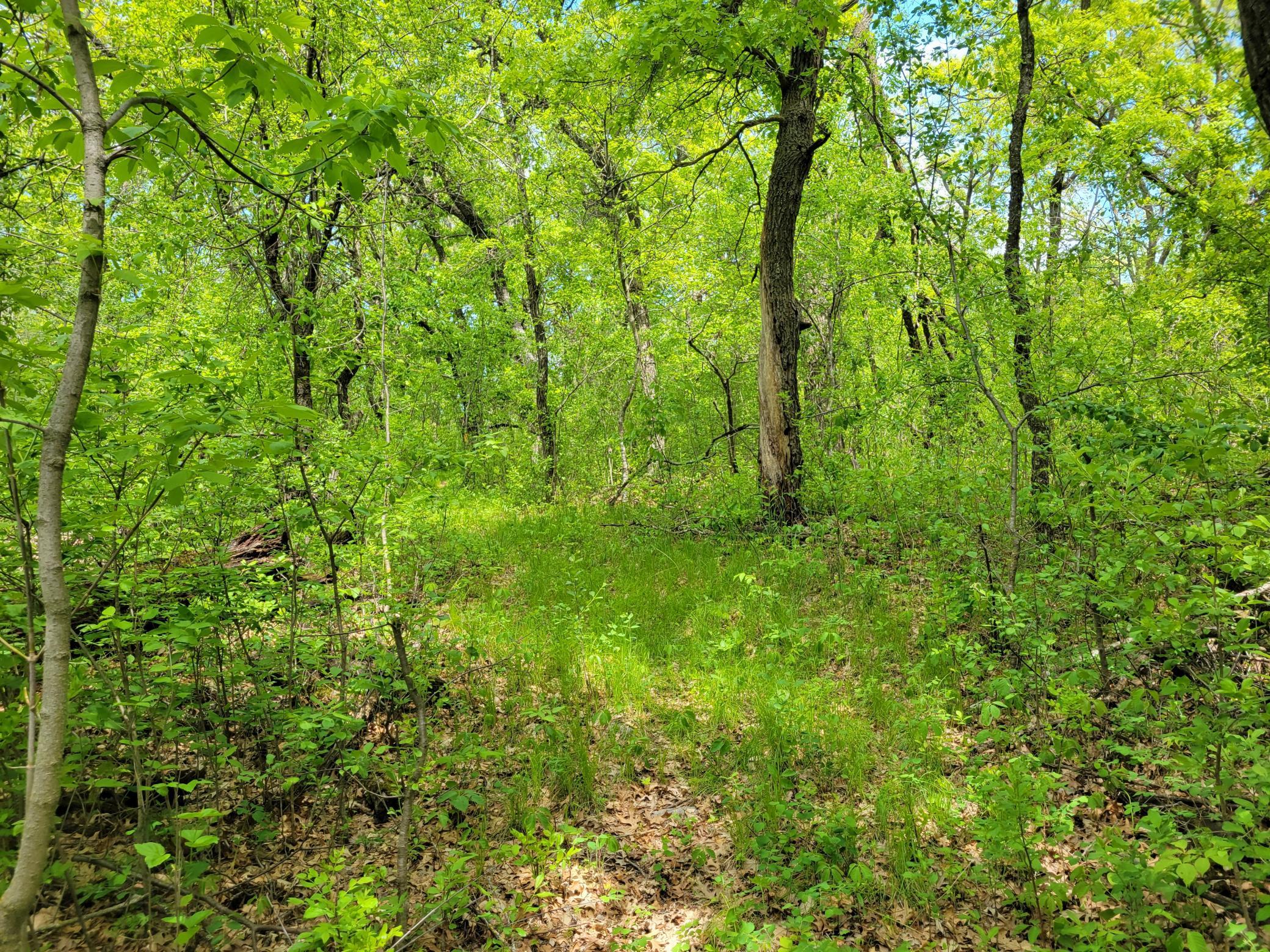 20250523_142402.jpg