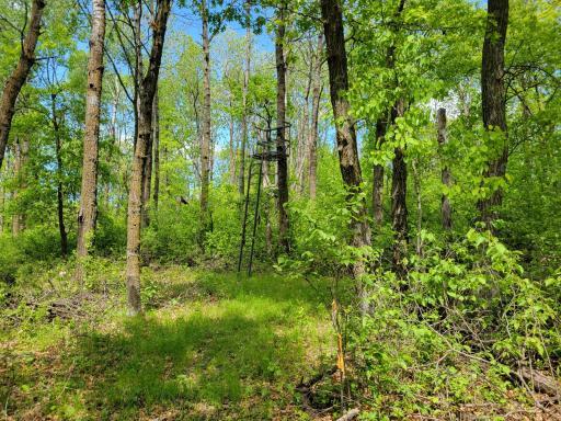 TBD 510 ave, Henning, MN 56551