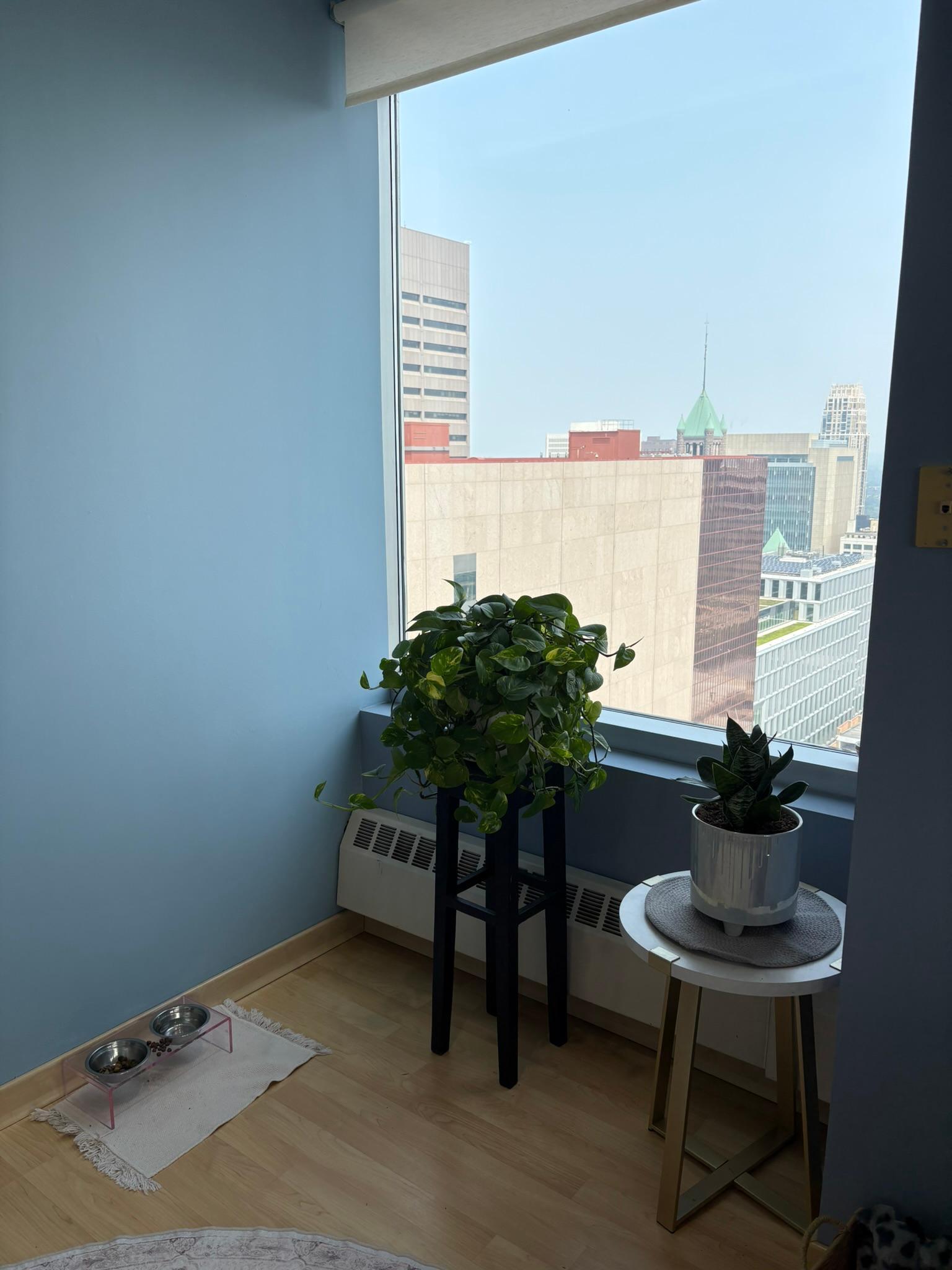 IMG_0093.JPEG
