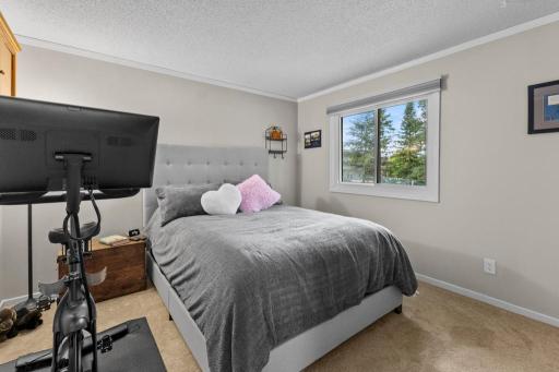 16550 Terrey Pine Drive, Eden Prairie, MN 55347