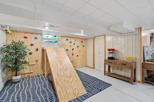 Lower Level Unfinished Space with a Climbing Wall