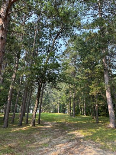3903 Ramsey Street, Pequot Lakes, MN 56472