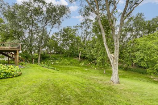 Country setting within the city. Enjoy nature - as close as your back door.