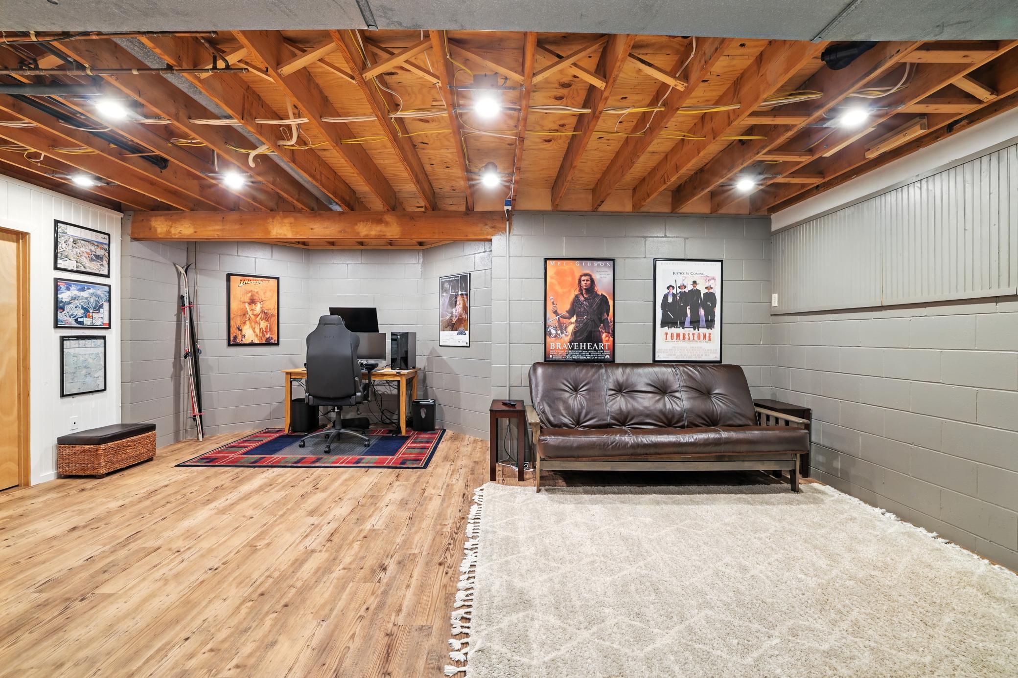 Lower level family room