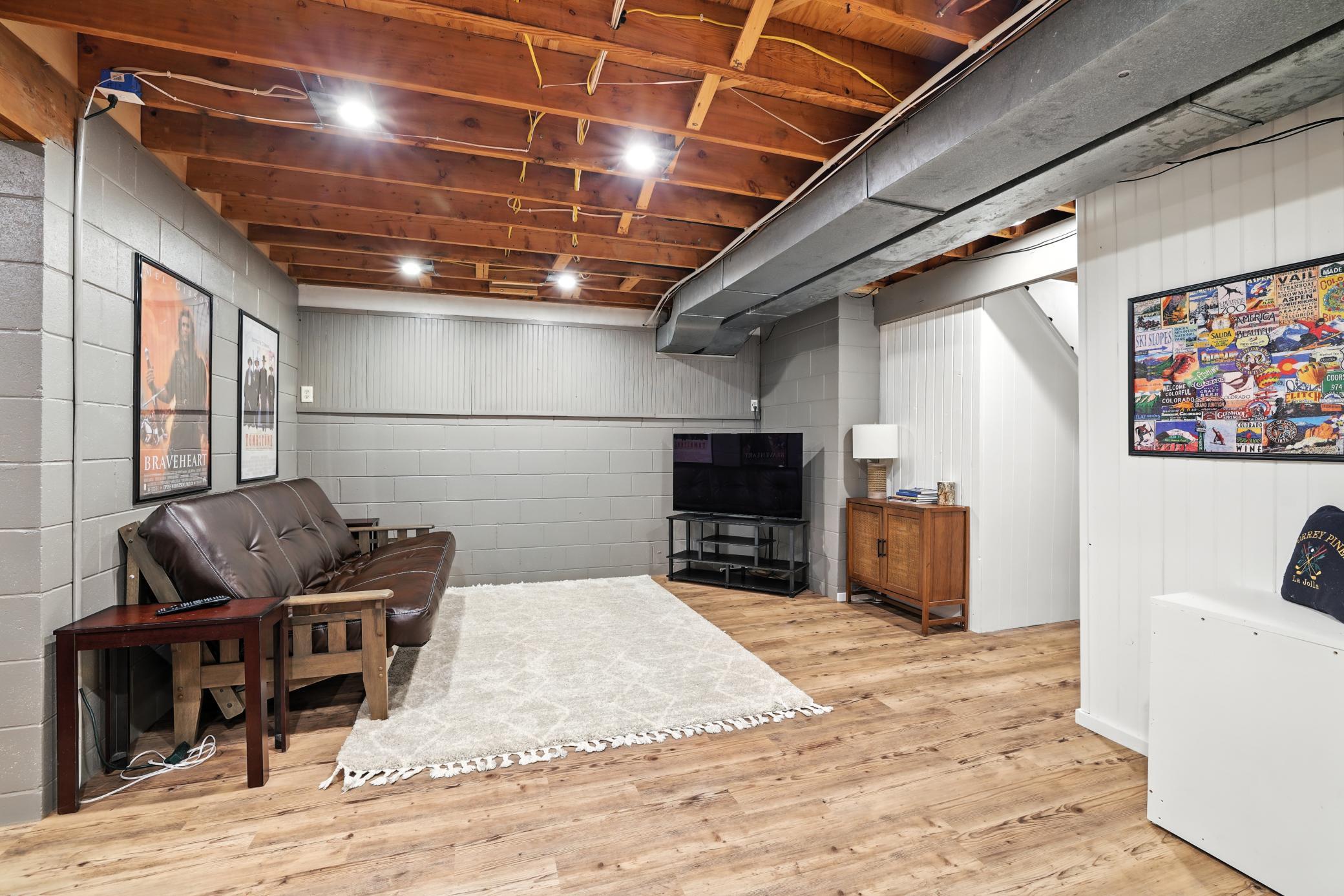 Lower level family room