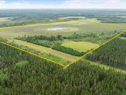 XXX Cass line rd, Menahga, MN 56434