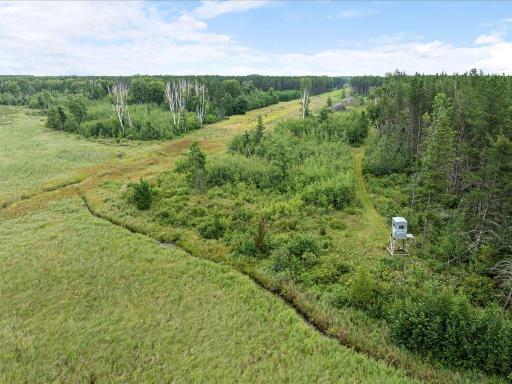 XXX Cass line rd, Menahga, MN 56434