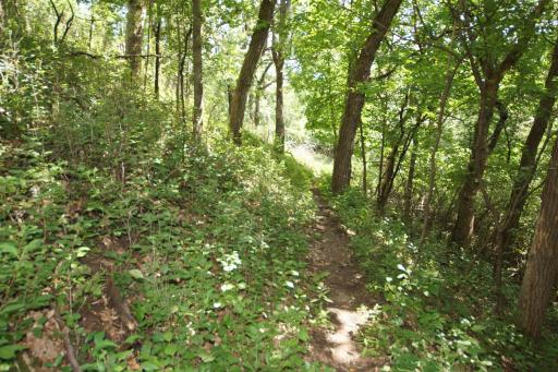 19xxx Proctor Road NW, Elk River, MN 55330