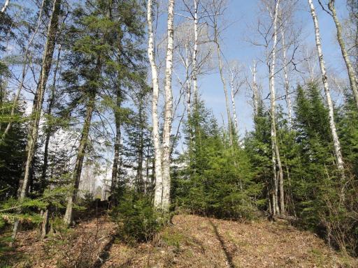 Voyageurs Retreat at Giants Ridge - Greenstone Lots 19 & 20.