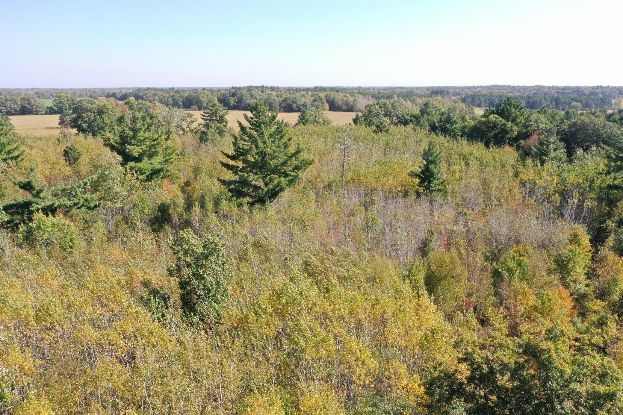 DJI_0512.JPG