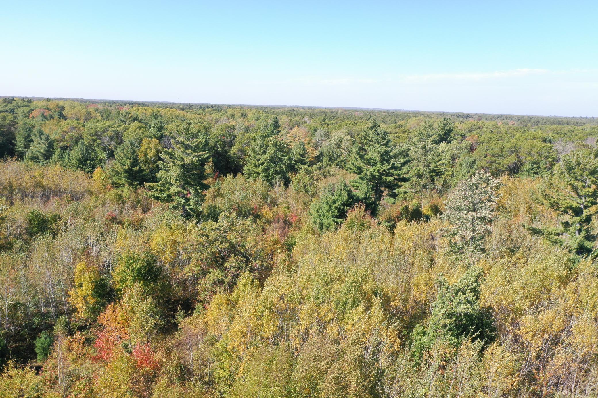 DJI_0511.JPG