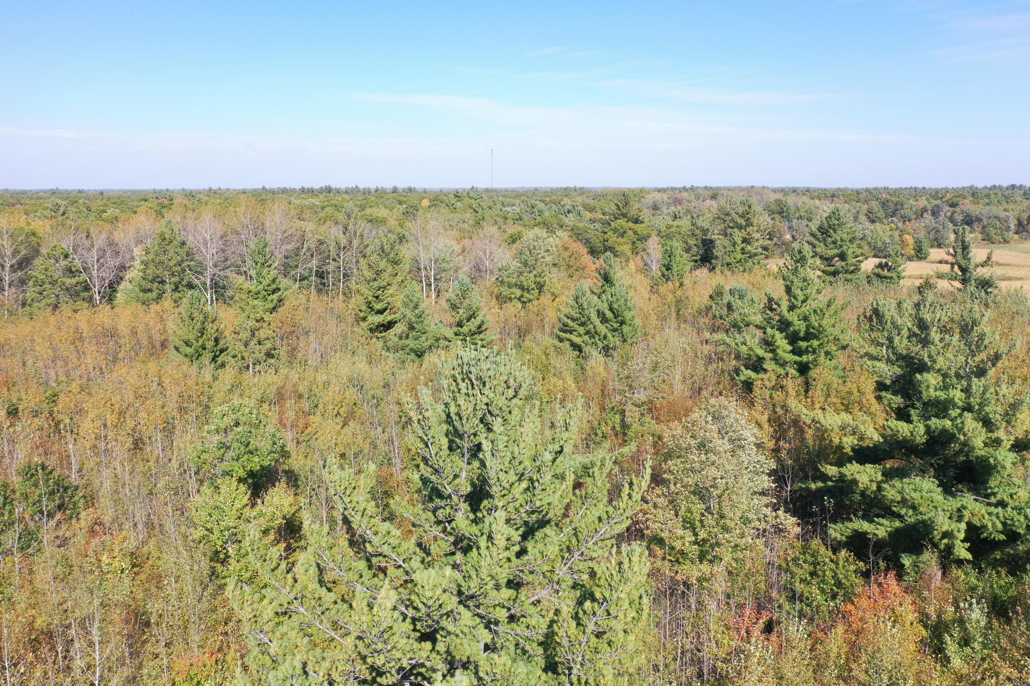 DJI_0510.JPG