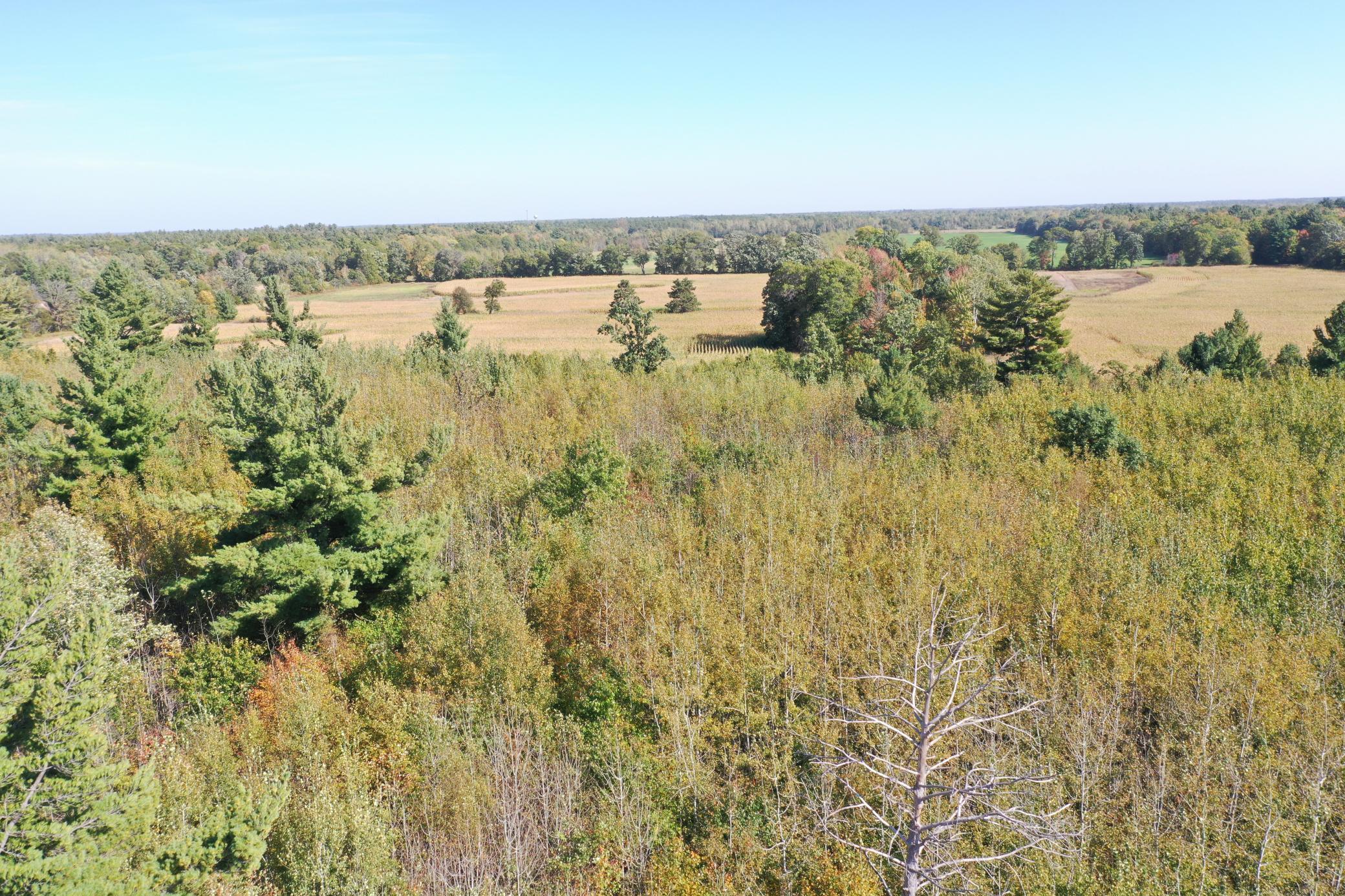 DJI_0509.JPG