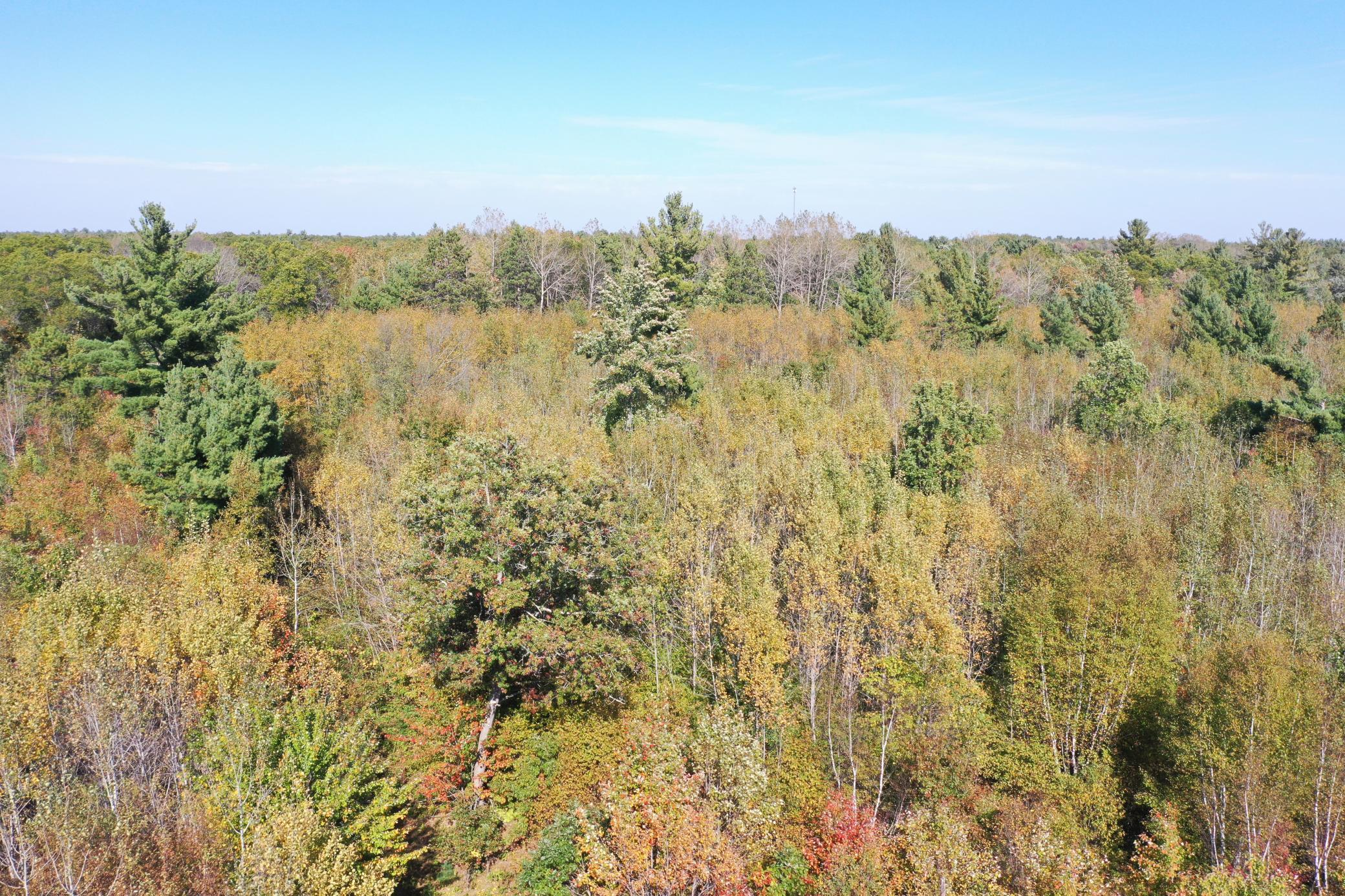 DJI_0507.JPG