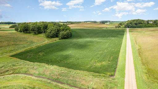 XXX 141st Avenue, Montgomery, MN 56069