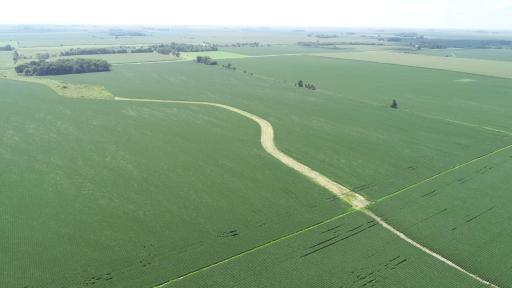 xxx County Rd 1, Spring Valley, MN 55975