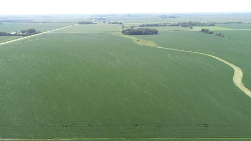 xxx County Rd 1, Spring Valley, MN 55975