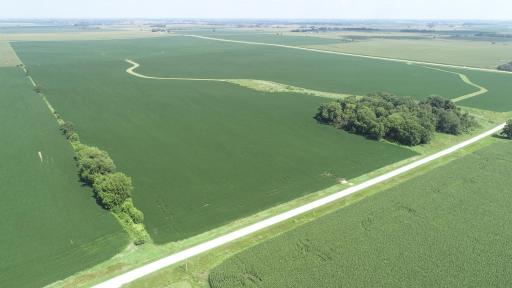 xxx County Rd 1, Spring Valley, MN 55975