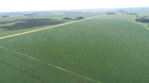 xxx County Rd 1, Spring Valley, MN 55975