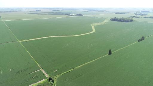 xxx County Rd 1, Spring Valley, MN 55975
