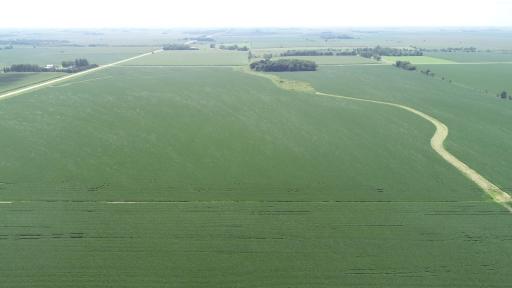 xxx County Rd 1, Spring Valley, MN 55975