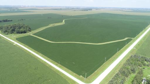 xxx County Rd 1, Spring Valley, MN 55975